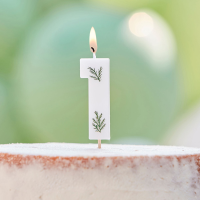 Candle Number 1  Pressed Foliage